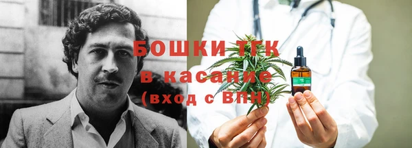 соль ск Абаза