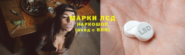 СК Медногорск