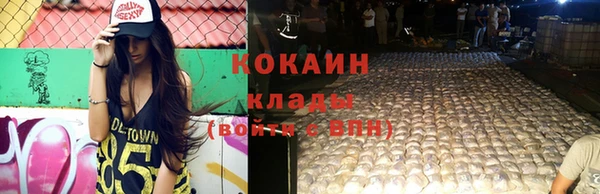 соль ск Абаза