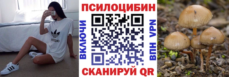 хочу наркоту  Шарыпово  даркнет клад  Галлюциногенные грибы Cubensis 