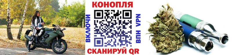 Шишки марихуана сатива  Шарыпово 